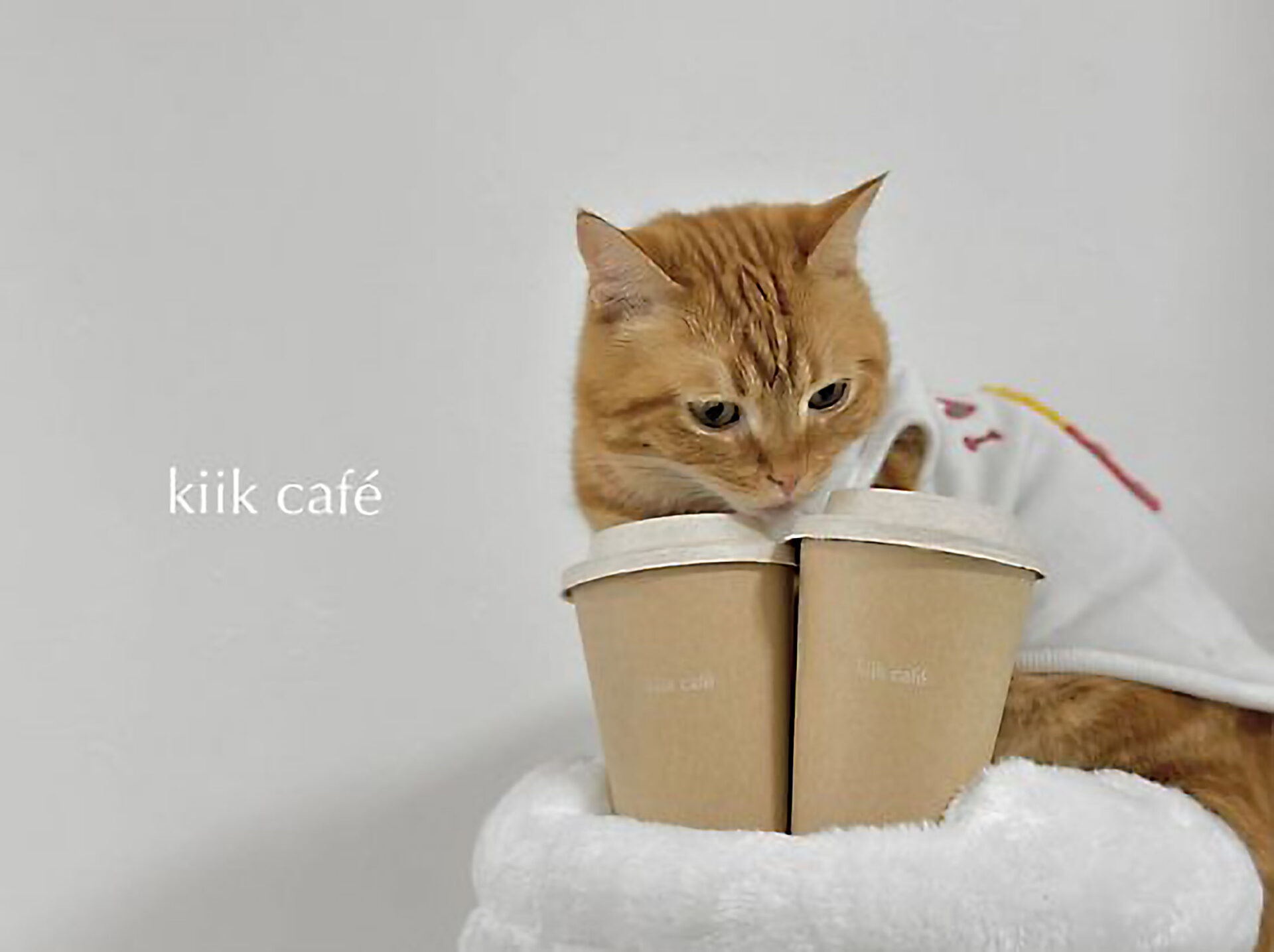 kiik café